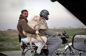 عکس های خنده دار ، جالب