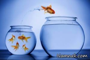 ترس ، غلبه بر ترس