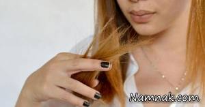 موخوره