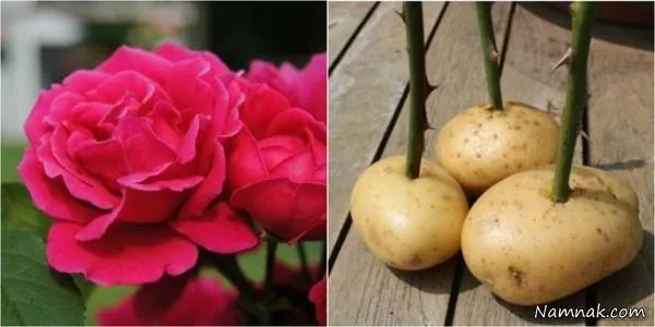 پیشنهادهایی برای آسان کردن کارهای روزمره آسان کردن کارهای روزمره