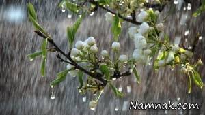 نماز باران