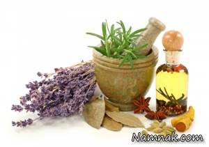 گیاهان موثر در تقویت حافظه