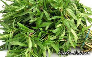 مرزه ، خواص سبزی مرزه