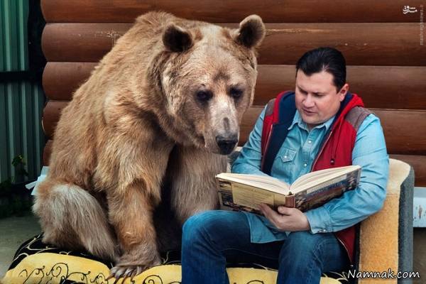 زوج روسی درکنار خرس
