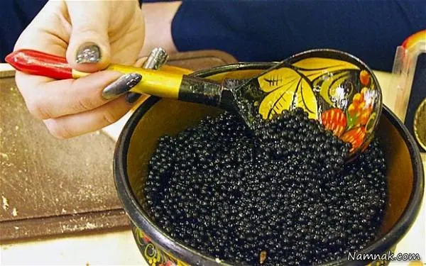 گرانترین غذاهای جهان گرانترین غذاها