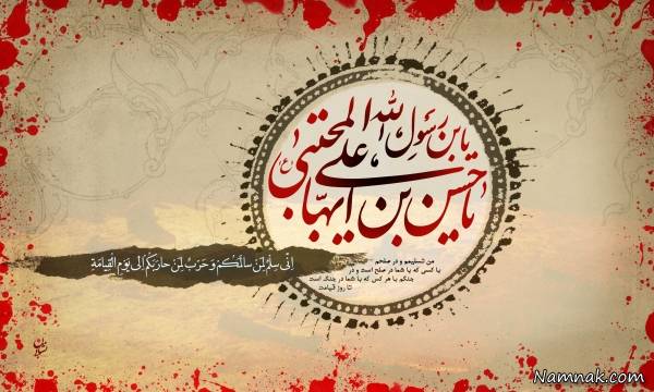 زندگی نامه امام حسن (ع) ، حکومت امام حسن ، زندگی نامه اش