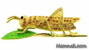 ملخ طلایی