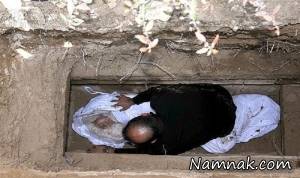 مردگان ، بازگشت مردگان