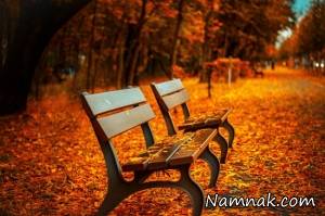 پاییز ، چاقی