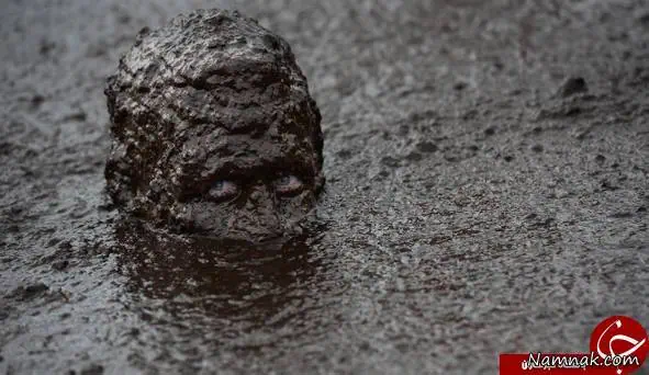 مسابقه ای عجیب شنا در باتلاق در ایرلند شمالی شنا در باتلاق