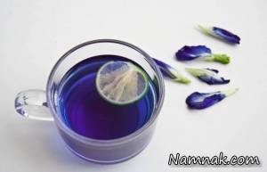 گل گاو زبان ، خواص گل گاو زبان
