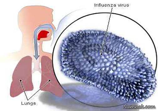 ویروس آنفولانزا