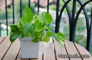 پاکسازی هوای خانه ، منابع آلاینده