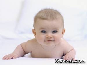 گرد و خاک فرش ، مواد حساسیت زا