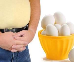 رژیم تخم مرغ ، رژیم غذایی