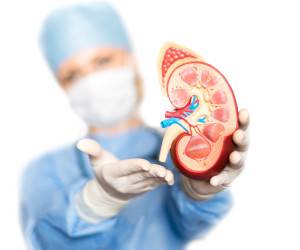 پیوند کلیه ، انواع اهداکنندگان کلیه