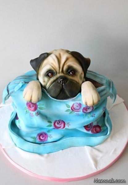 تزیین کیک ، زیباترین کیک های تولد ، مدل تزیین کیک با خامه