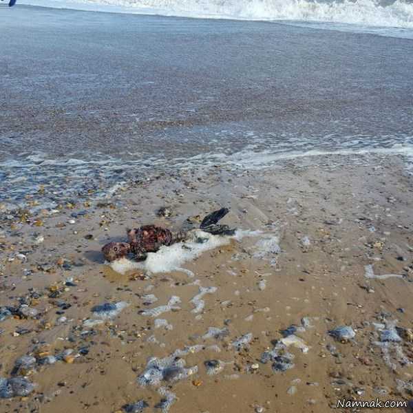 کشف جسد پری دریایی