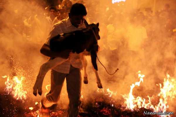 جشن سنتی در هند ، تصویر روز ، عکس روز