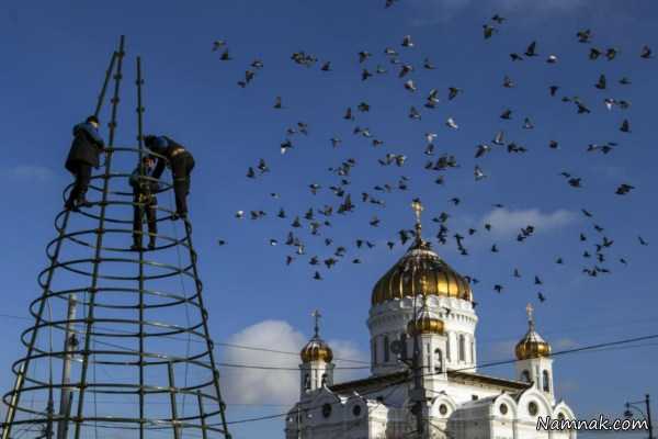 جدا کردن درخت کریسمس ، تصاویر ، تصویر روز