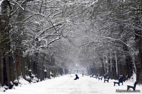 پیاده روی در برف ، تصاویر ، تصویر روز
