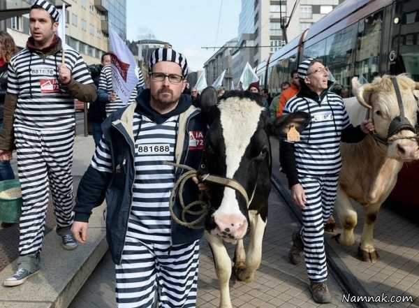 اعتراض کشاورزان ، تصویر روز ، عکس روز