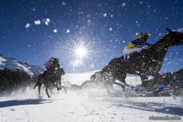 مسابقات اسب سواری در برف ، عکس روز ، عکس روزانه