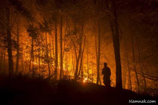 آتش سوزی جنگلها ، تصاویر ، تصویر روز