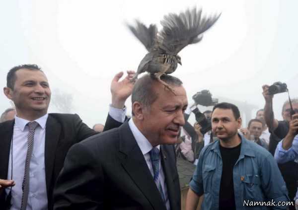اردوغان رئیس جمهور ترکیه