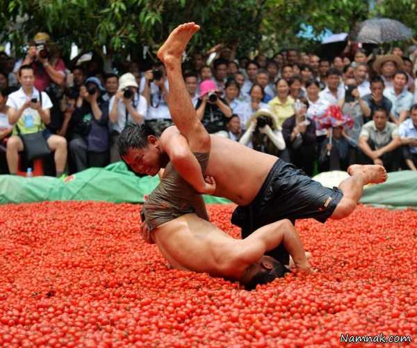 کشتی در استخر گوجه ، pictures of the day ، تصاویر