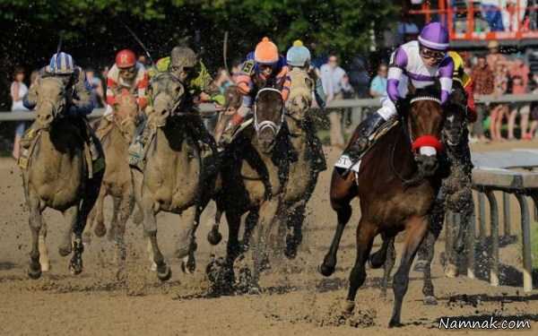 مسابقات اسب سواری ، تصاویر ، تصویر روز
