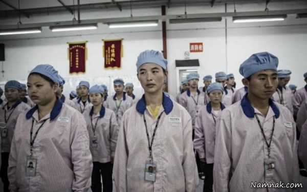 کارگران چینی ، تصاویر ، تصویر روز