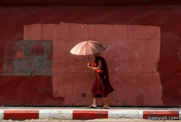 بودایی جوان ، تصاویر ، تصویر روز