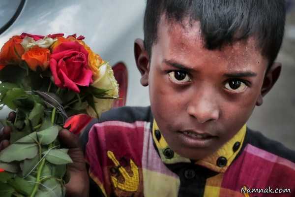 کودک گل فرروش ، عکس روزانه ، عکسهای روزانه