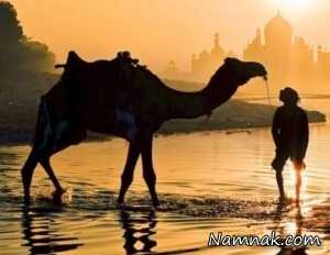 تصاویر ، تصویر روز