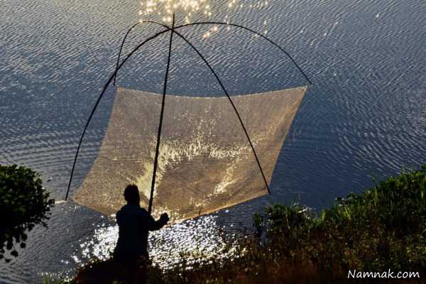 ماهیگیری در هند ، تصاویر ، تصویر روز