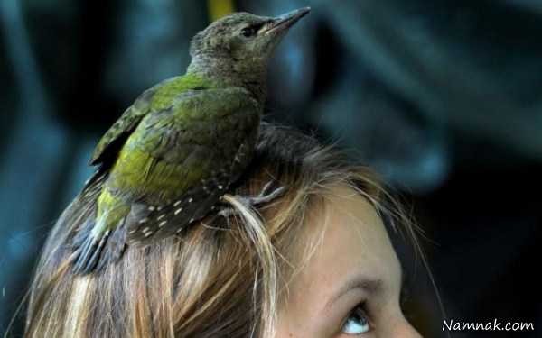 پرنده روی سر دختر