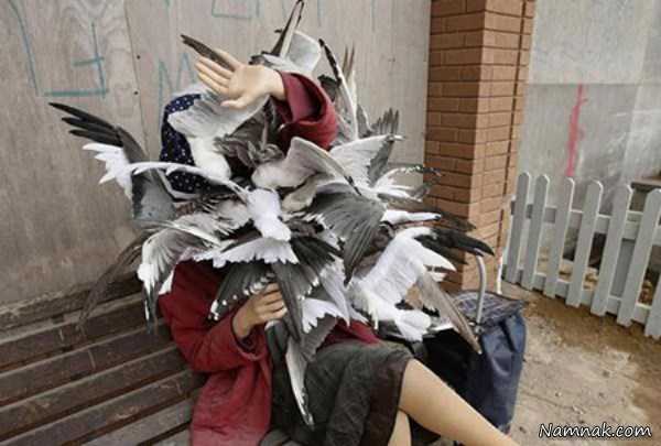 حمله پرندگان ، تصاویر ، تصویر روز