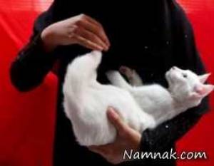 تصاویر ، تصویر روز
