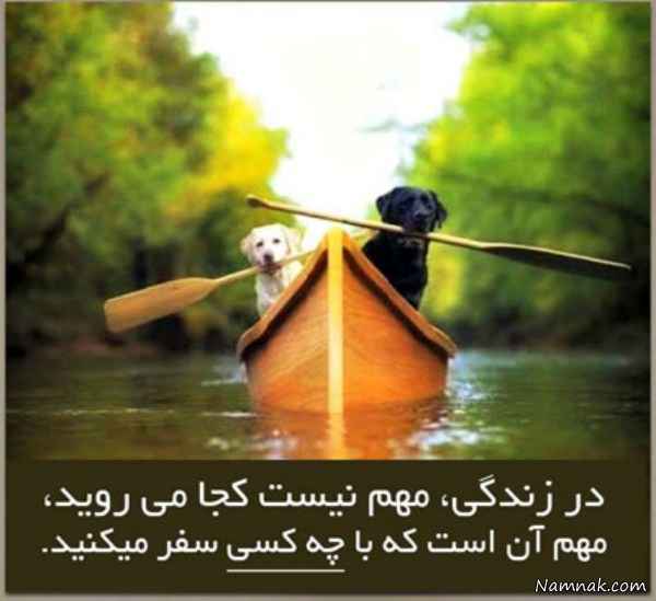 جملات ناب بزرگان