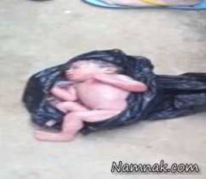 نوزاد ، جنین داخل زباله