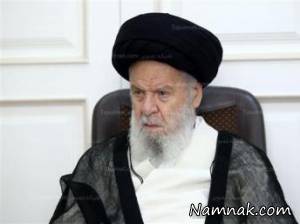 آیت الله موسوی اردبیلی ، آیت الله موسوی در کما