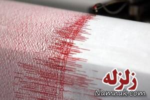 زلزله ژاپن ، زلزله