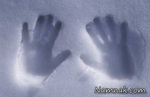 یخ زدگی ، سرما