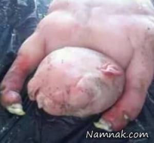 نیم انسان نیم حیوان