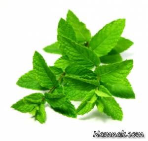 نعناع لاغری ، معجون کاهش وزن سریع