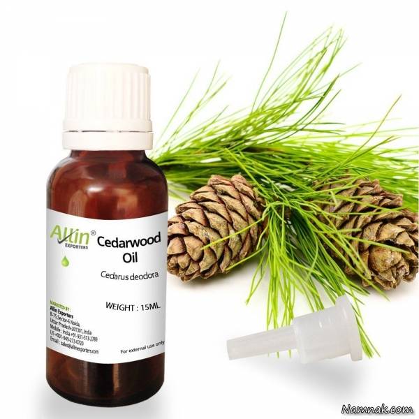 خواص روغن چوب سدر روغن چوب سدر