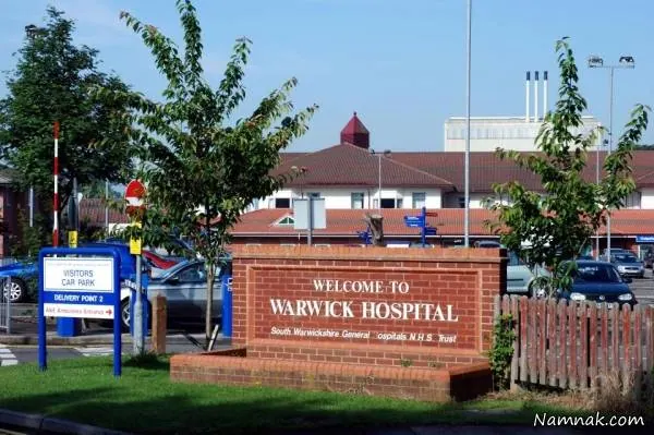 کشف مغز انسان از شکم جسد کشف مغز