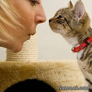 گربه غیرتی ، سرگرمی نمناک