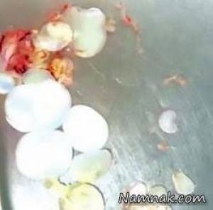 کرم مغز ، سرگرمی نمناک